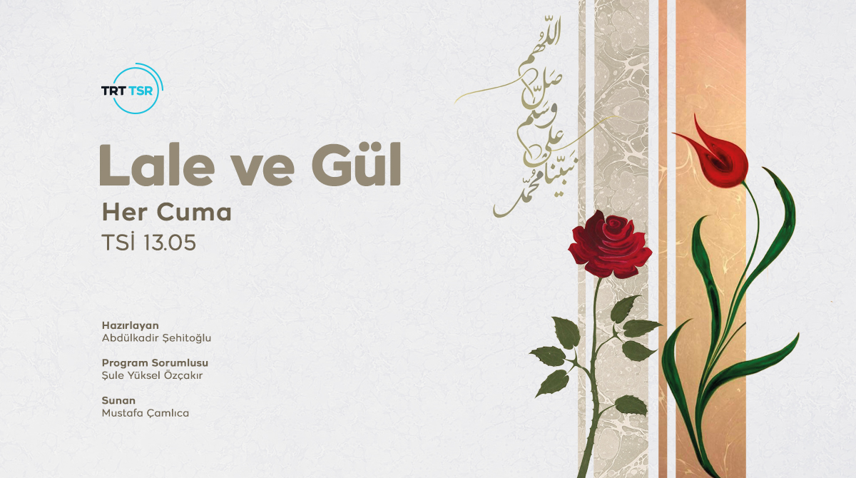 Lale ve Gül
